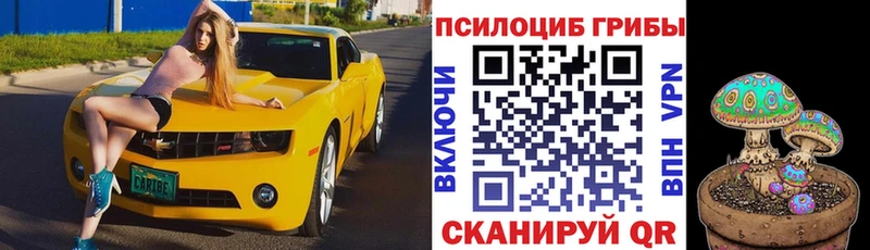 Псилоцибиновые грибы ЛСД Отрадная